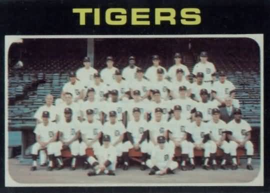 336 Tigers Team